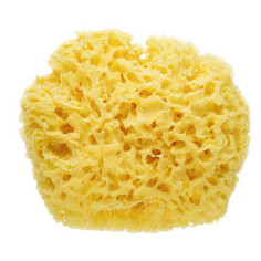 ESPONJA NATURAL N10 SOMPEKEWIZ