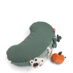TUMMT TIME ACTIVITY PILLOW...