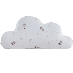 COIXI NUVOL GASPAR P UZTURRE