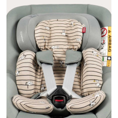 FUNDA REDUCTOR MAXICOSI...