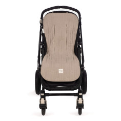 CONXONETA CADIRA CAETANA...