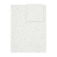 JOC LLENÇOL MOISES COSMOS...