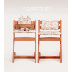 SET 3 COIXINS EVOL IMPER...